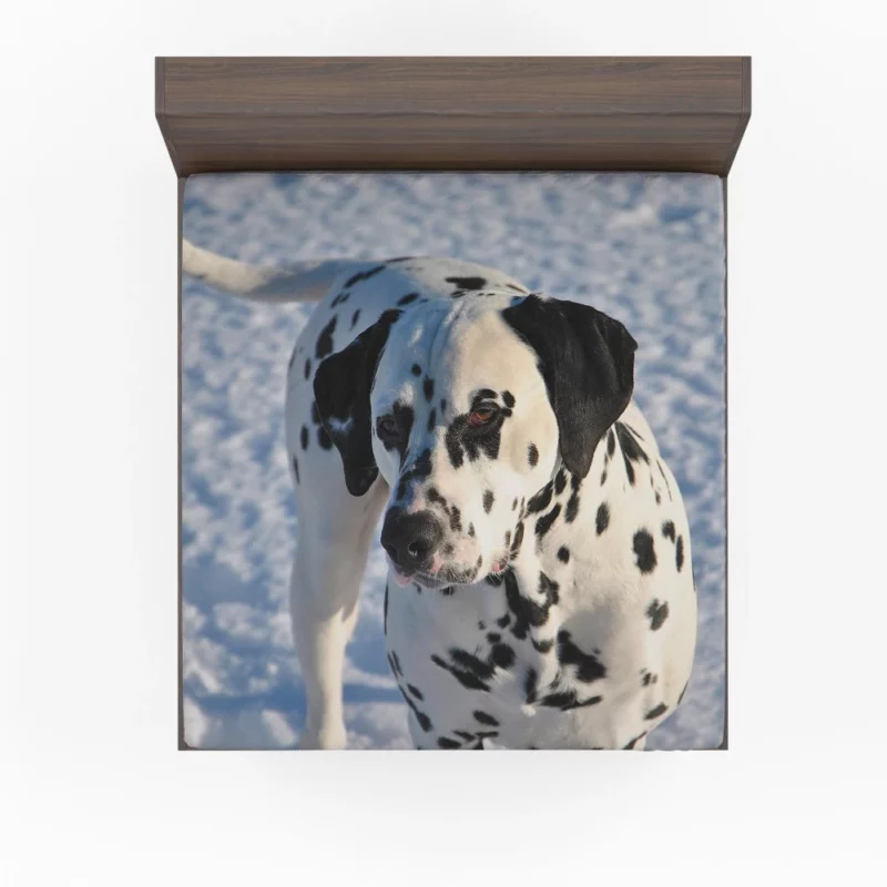 Dalmatian Distinctive Muzzle Canine Charm Fitted Sheet 1