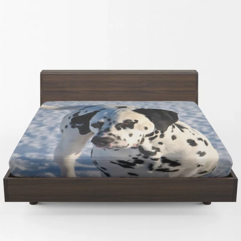 Dalmatian Distinctive Muzzle Canine Charm Fitted Sheet