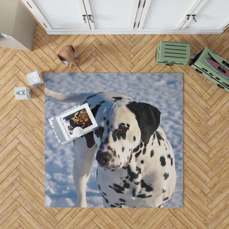 Dalmatian Distinctive Muzzle Canine Charm Rug