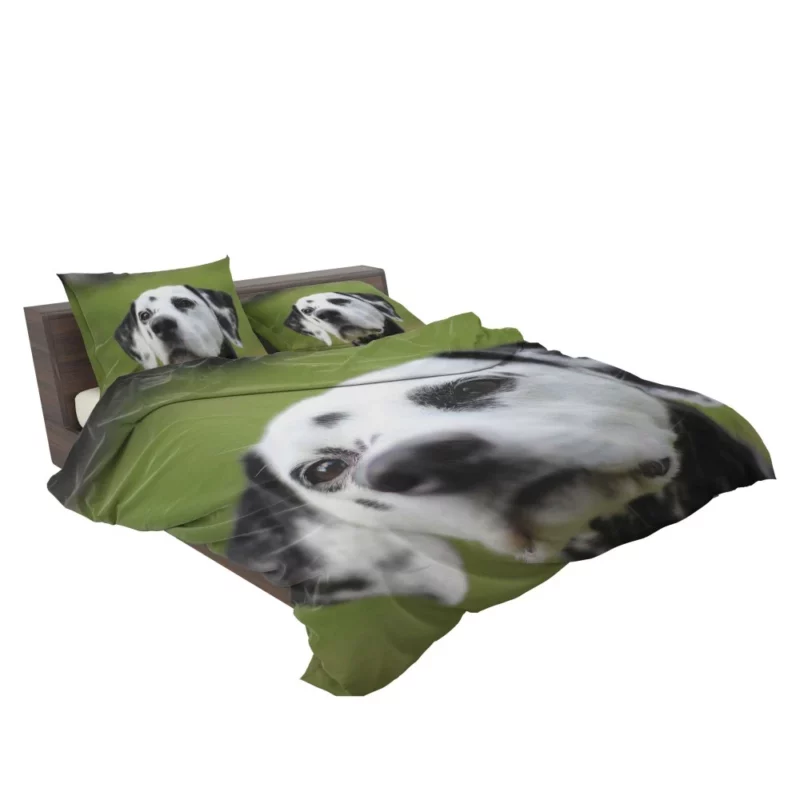 Dalmatian Endearing Muzzle Spotty Charm Bedding Set 2