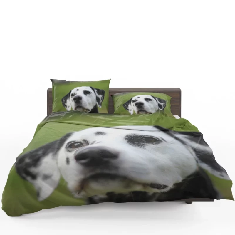 Dalmatian Endearing Muzzle Spotty Charm Bedding Set