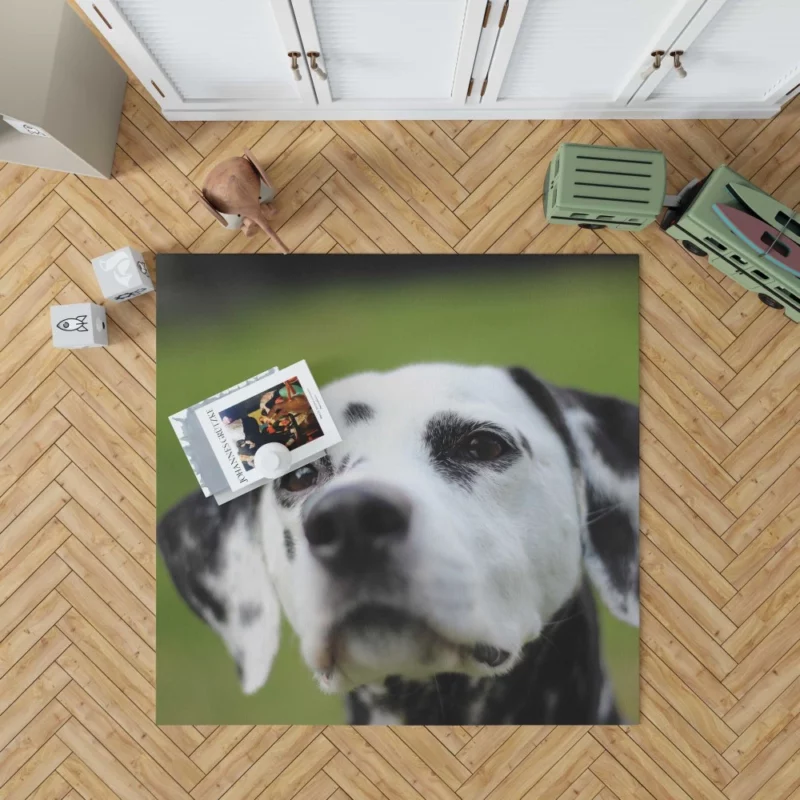 Dalmatian Endearing Muzzle Spotty Charm Rug