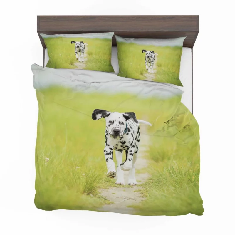 Dalmatian Puppy Playful Path Adventure Bedding Set 1