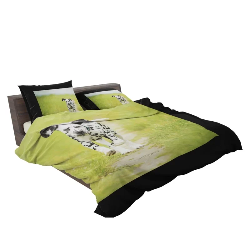 Dalmatian Puppy Playful Path Adventure Bedding Set 2