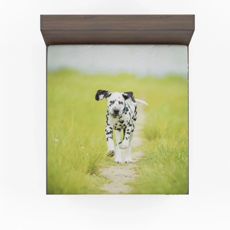 Dalmatian Puppy Playful Path Adventure Fitted Sheet 1