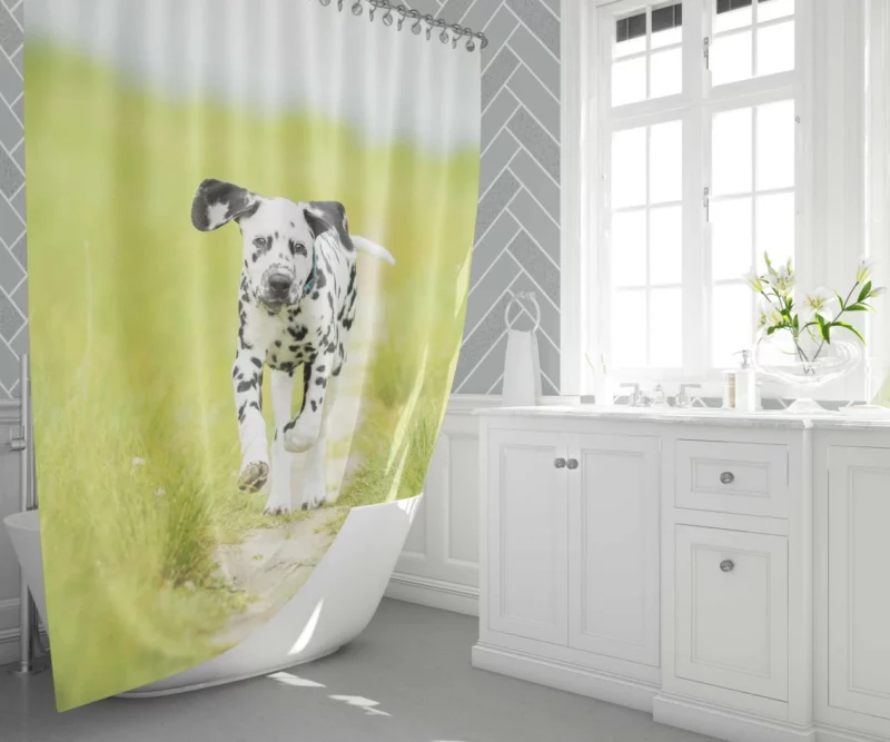 Dalmatian Puppy Playful Path Adventure Shower Curtain 1