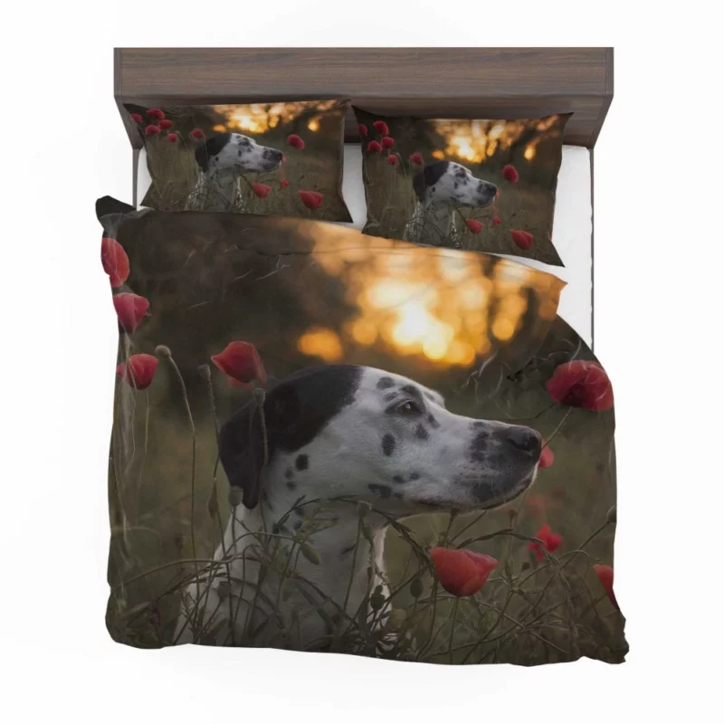 Dalmatian Sunset Charm Flowered Beauty Bedding Set 1