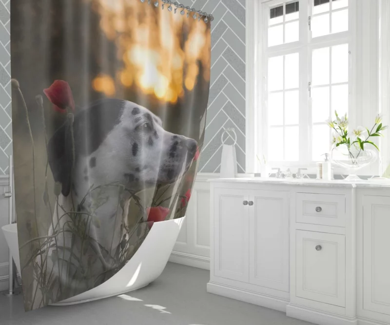 Dalmatian Sunset Charm Flowered Beauty Shower Curtain 1