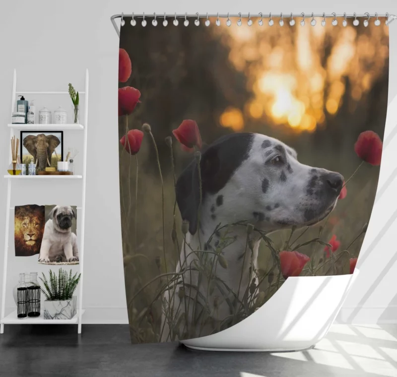 Dalmatian Sunset Charm Flowered Beauty Shower Curtain