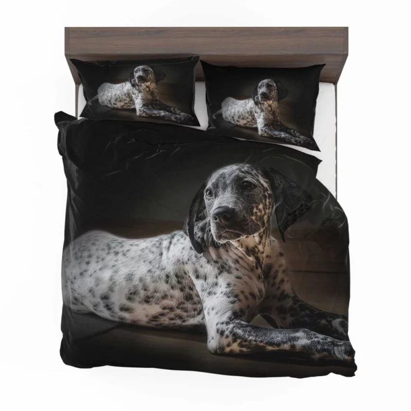 Dalmatian Timeless Beauty Furry Elegance Bedding Set 1