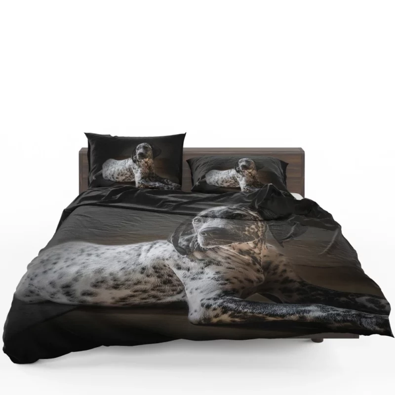 Dalmatian Timeless Beauty Furry Elegance Bedding Set