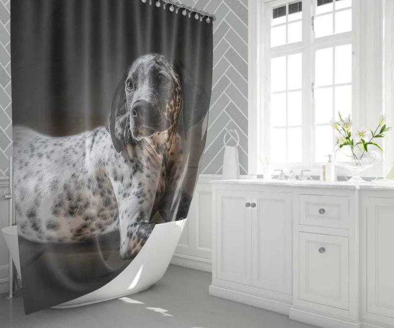 Dalmatian Timeless Beauty Furry Elegance Shower Curtain 1