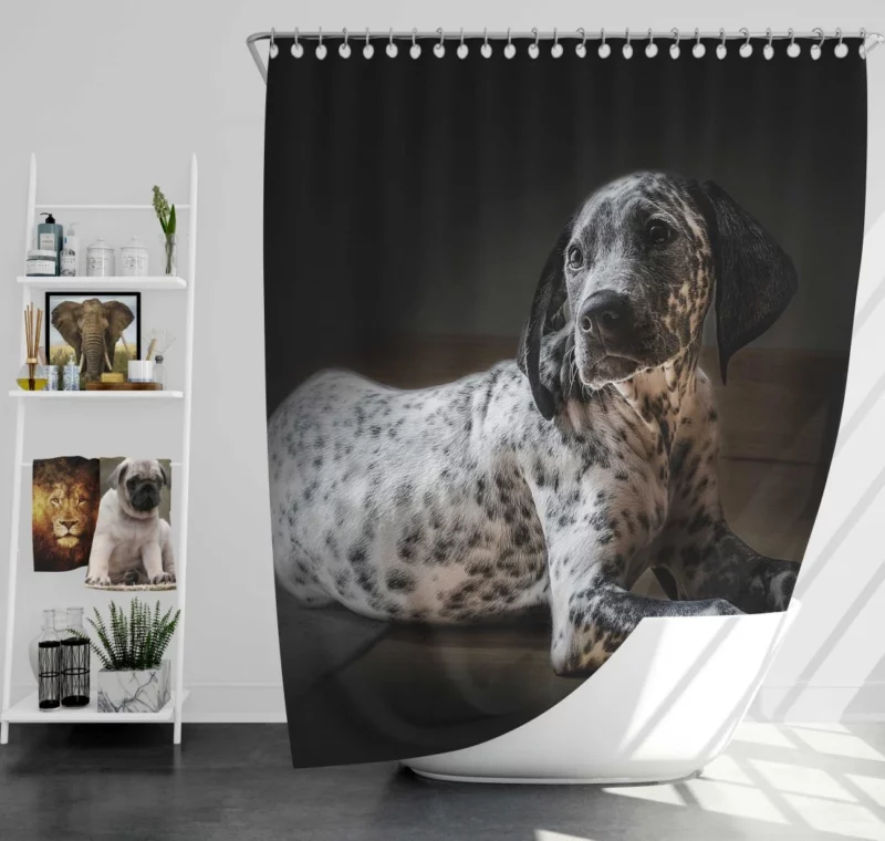 Dalmatian Timeless Beauty Furry Elegance Shower Curtain