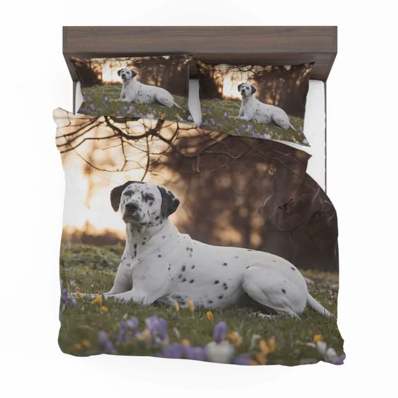 Dalmatian in Crocus Meadow Furry Elegance Bedding Set 1