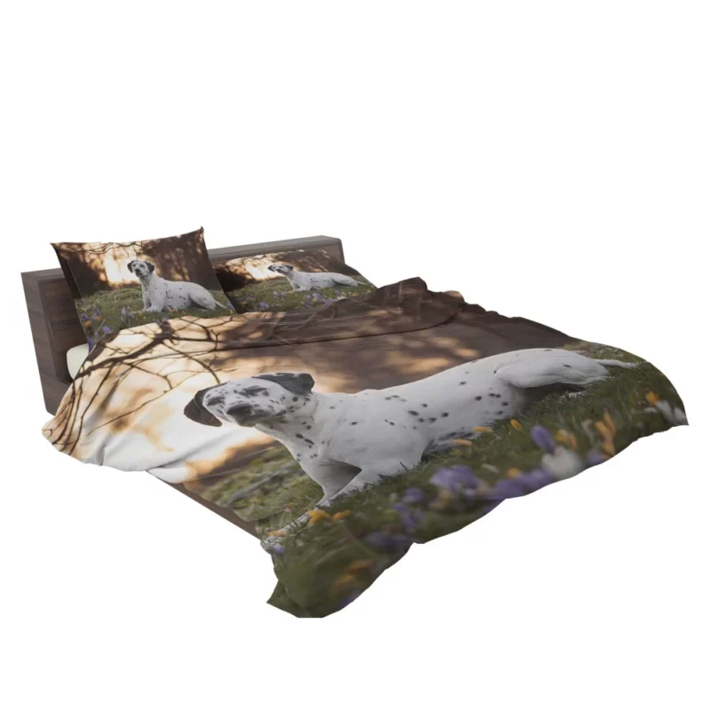 Dalmatian in Crocus Meadow Furry Elegance Bedding Set 2