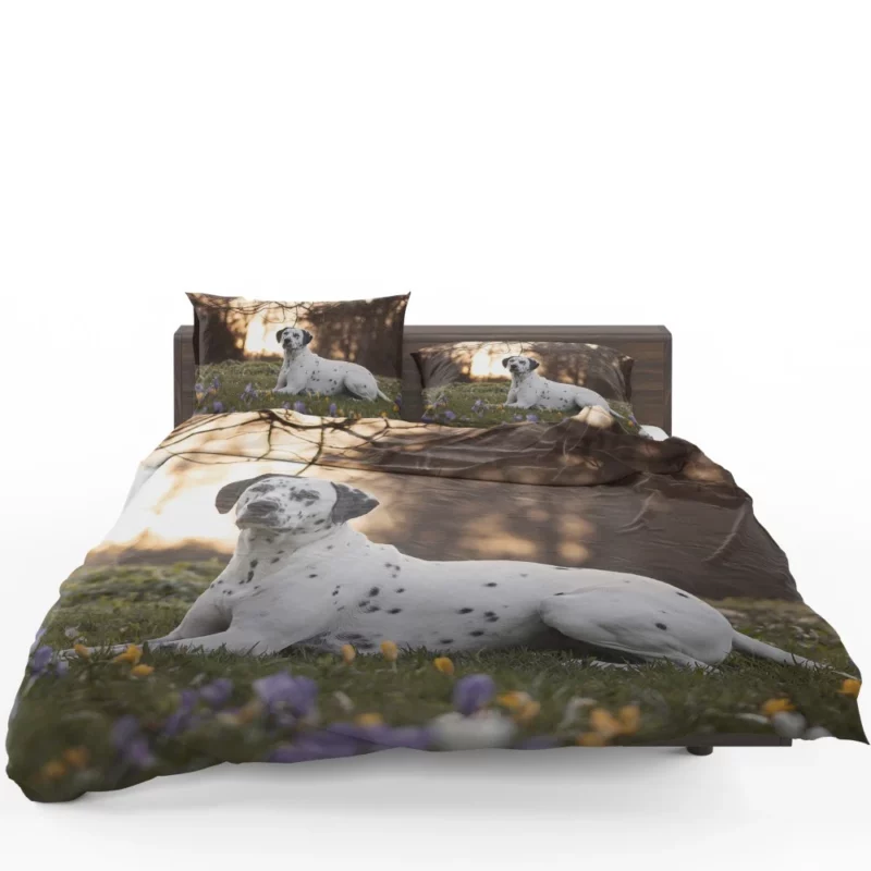 Dalmatian in Crocus Meadow Furry Elegance Bedding Set