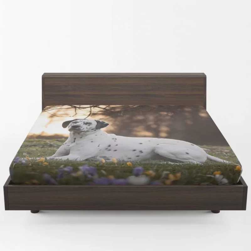 Dalmatian in Crocus Meadow Furry Elegance Fitted Sheet