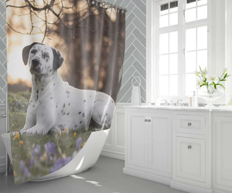 Dalmatian in Crocus Meadow Furry Elegance Shower Curtain 1