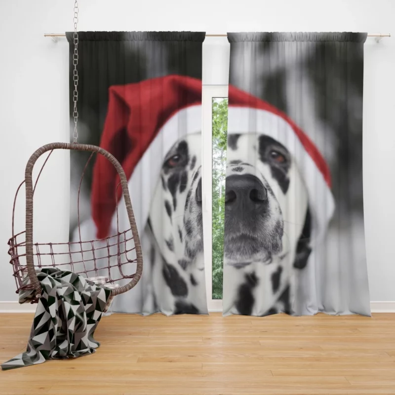 Dalmatian in Santa Hat Festive Whimsy Curtain