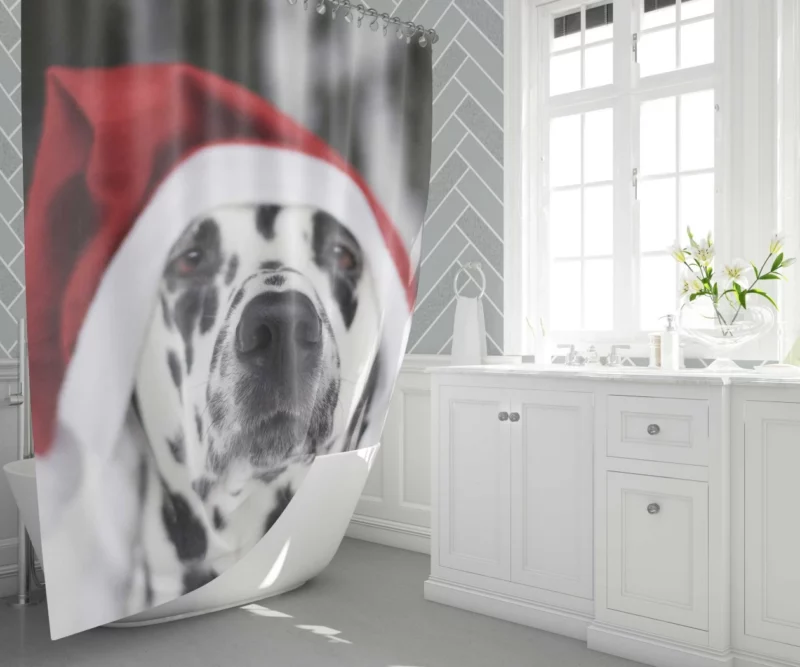 Dalmatian in Santa Hat Festive Whimsy Shower Curtain 1