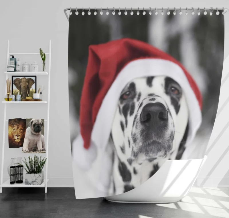 Dalmatian in Santa Hat Festive Whimsy Shower Curtain