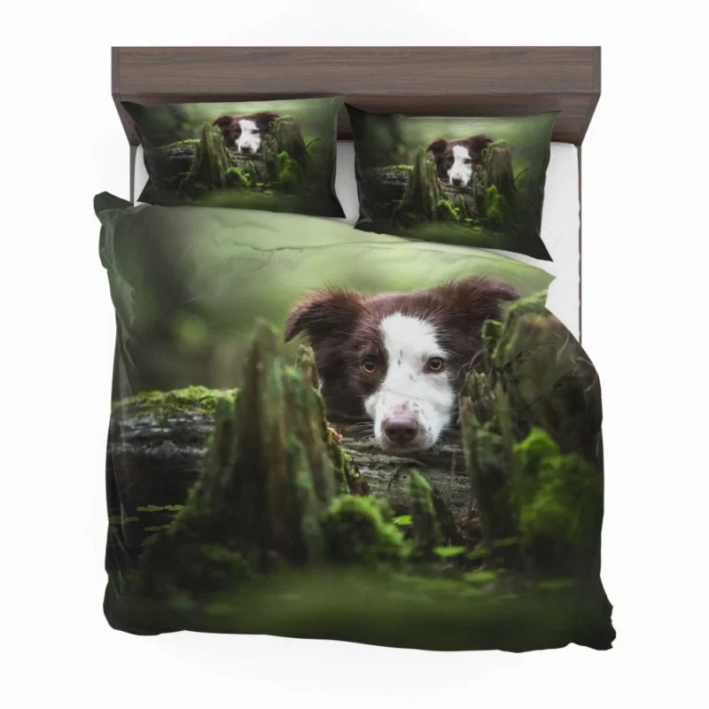 Dangerous Border Collie Bedding Set 1