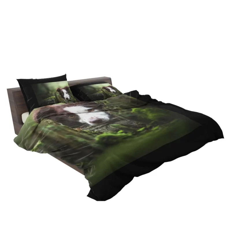 Dangerous Border Collie Bedding Set 2