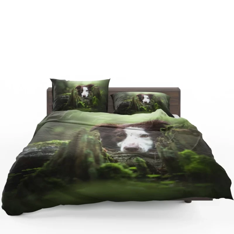 Dangerous Border Collie Bedding Set