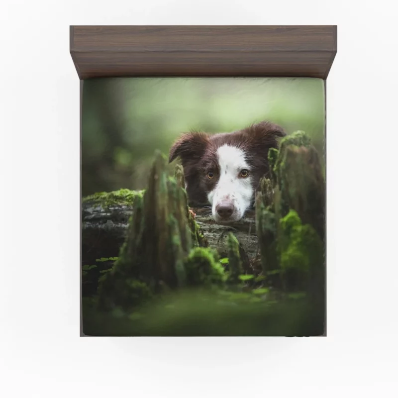 Dangerous Border Collie Fitted Sheet 1