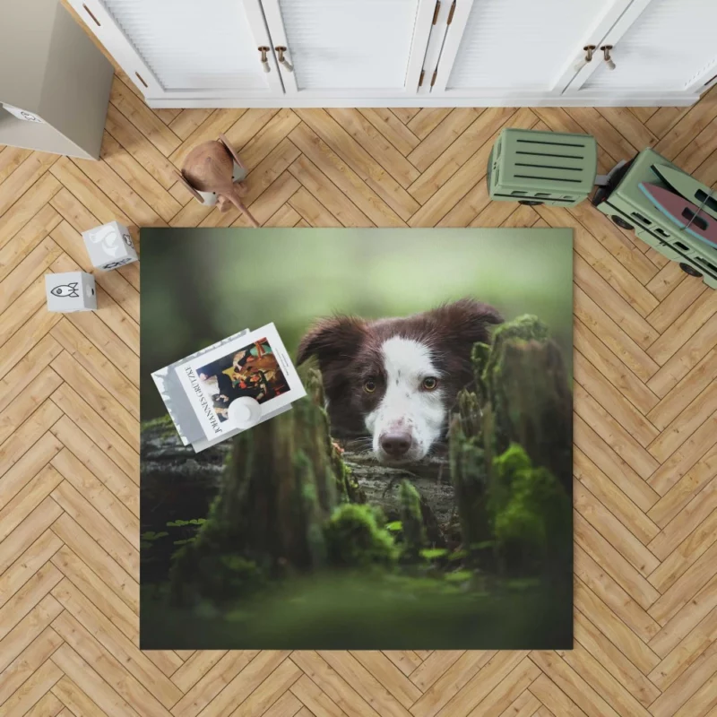 Dangerous Border Collie Rug