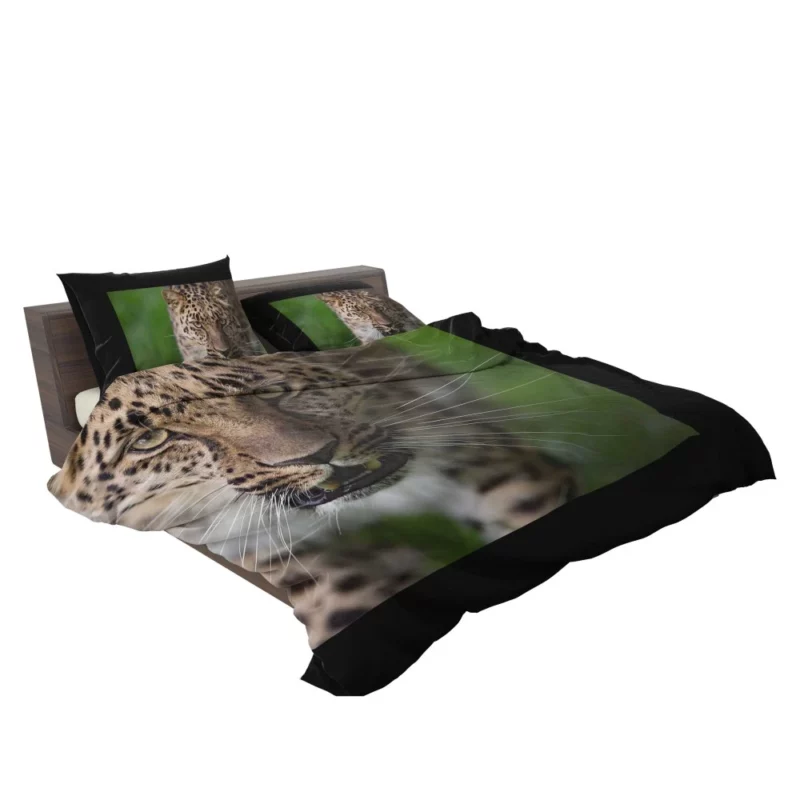 Dangerous Leopard Power Bedding Set 2