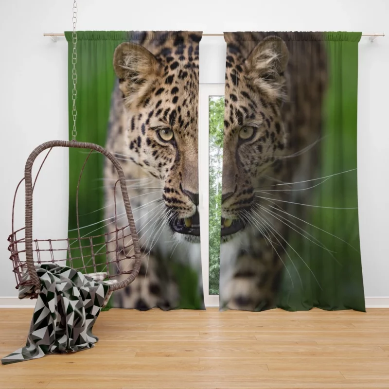 Dangerous Leopard Power Curtain