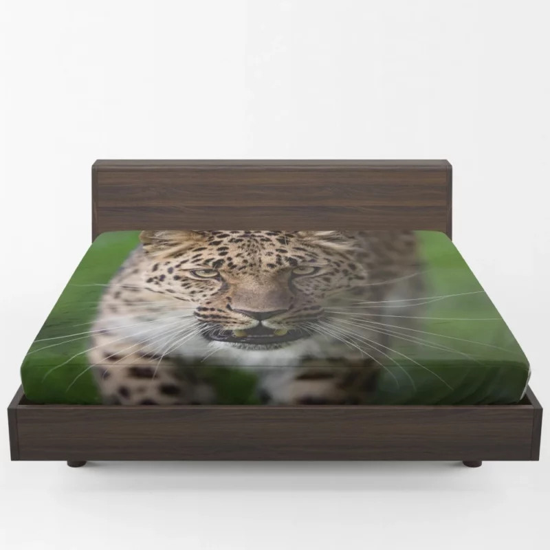 Dangerous Leopard Power Fitted Sheet