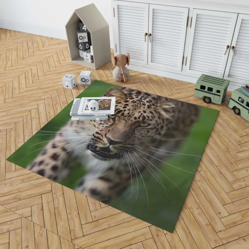 Dangerous Leopard Power Rug 1