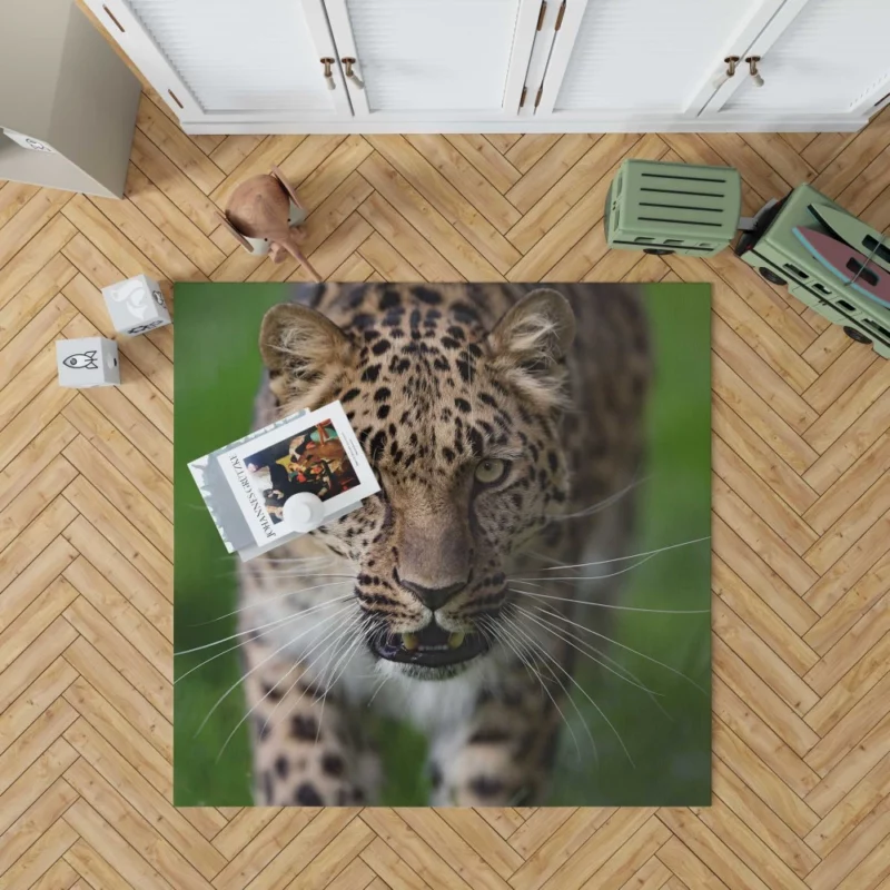 Dangerous Leopard Power Rug