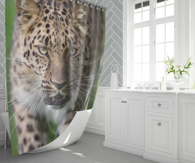 Dangerous Leopard Power Shower Curtain 1