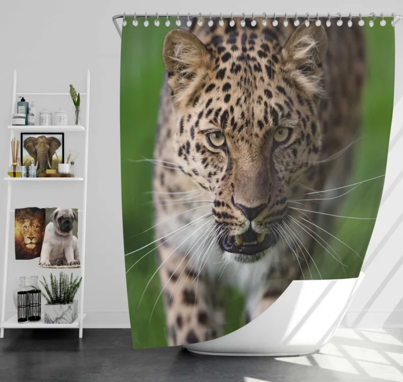 Dangerous Leopard Power Shower Curtain