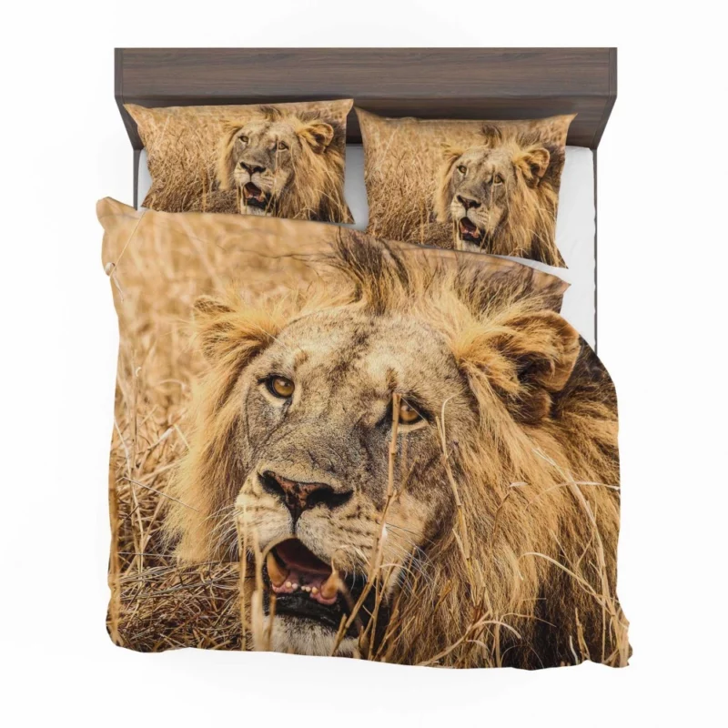 Dangerous Lion Bedding Set 1