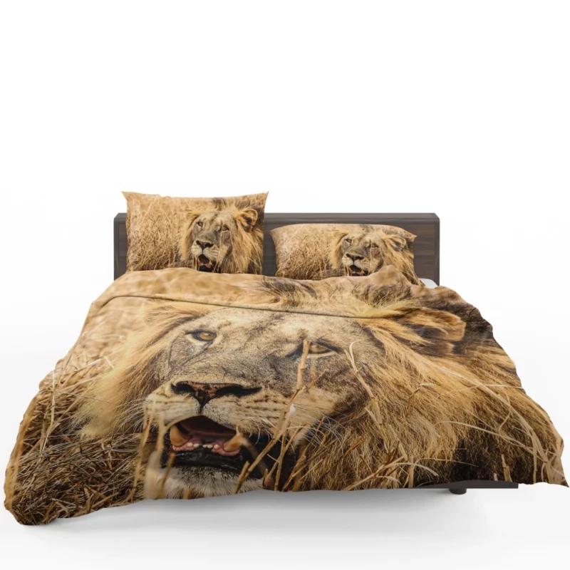 Dangerous Lion Bedding Set