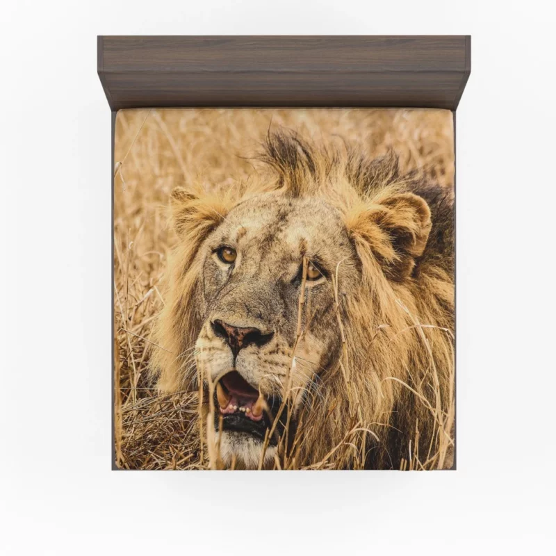 Dangerous Lion Fitted Sheet 1