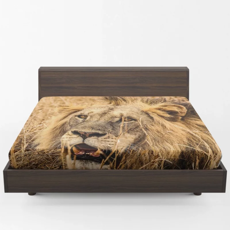 Dangerous Lion Fitted Sheet