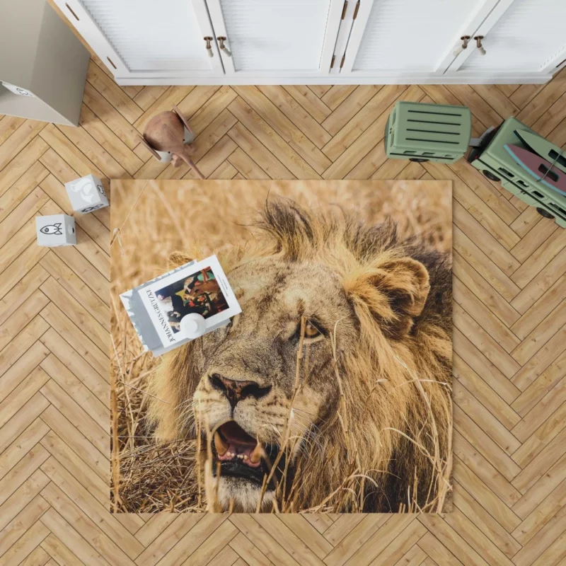 Dangerous Lion Rug