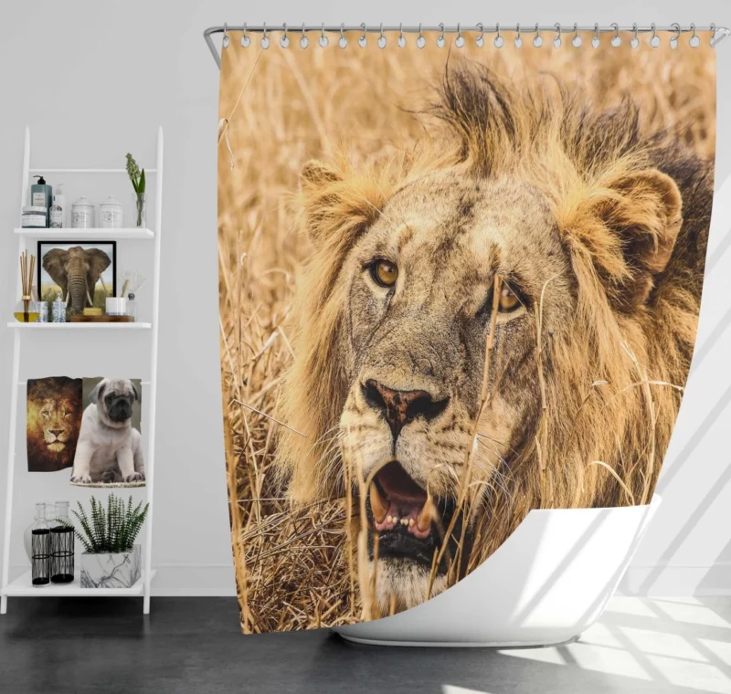 Dangerous Lion Shower Curtain