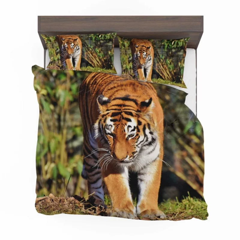 Dangerous Tiger Bedding Set 1