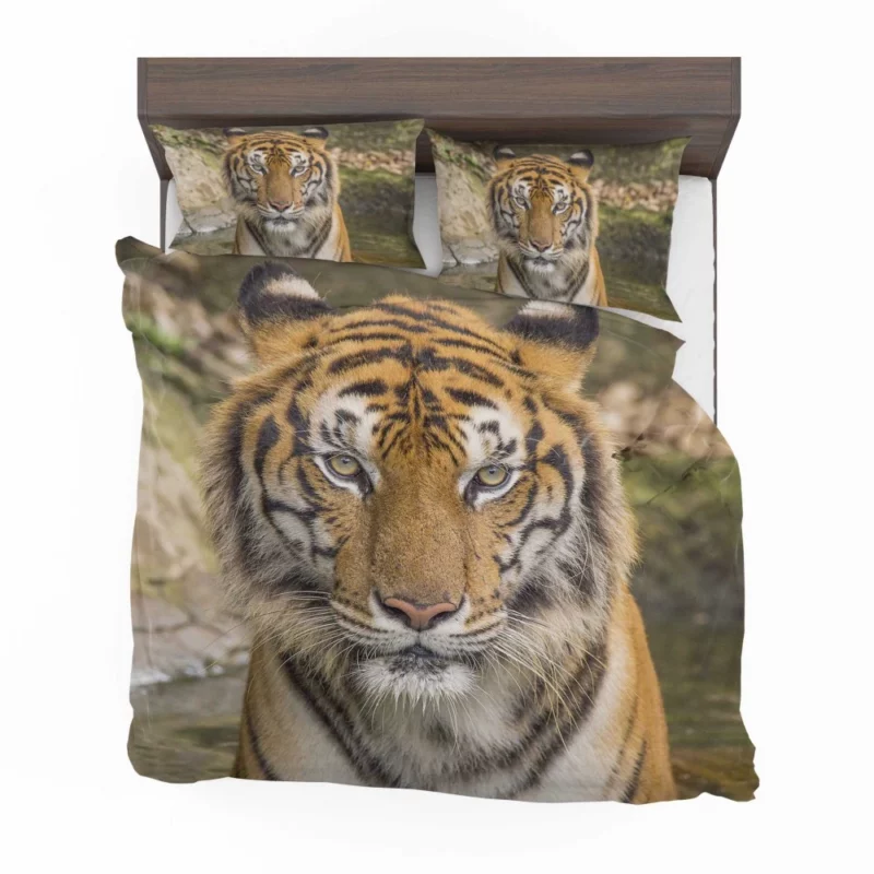 Dangerous Tiger Dominance Bedding Set 1