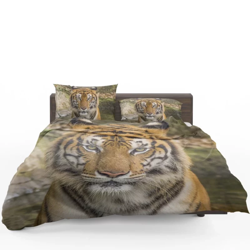 Dangerous Tiger Dominance Bedding Set