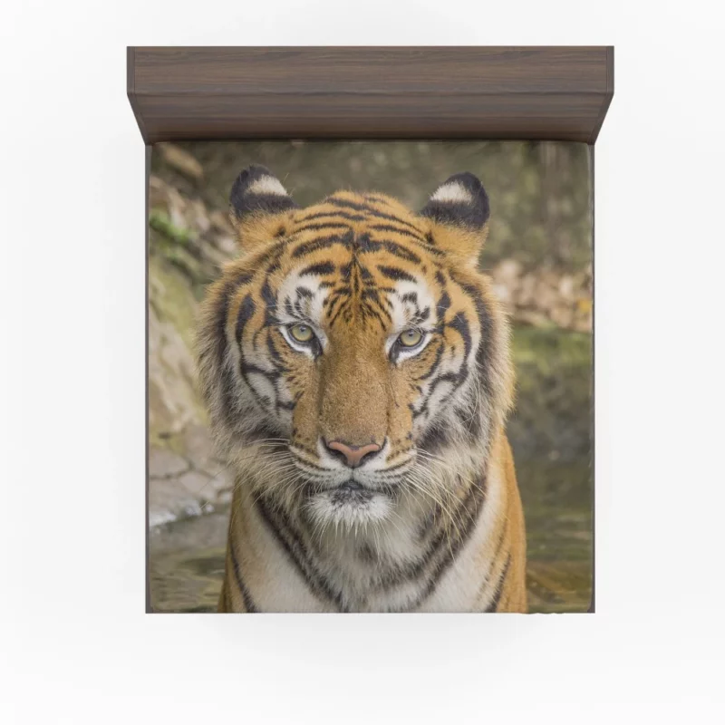 Dangerous Tiger Dominance Fitted Sheet 1