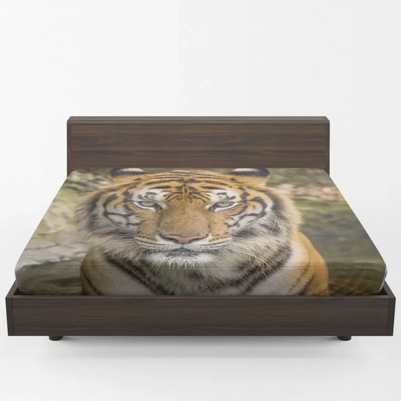 Dangerous Tiger Dominance Fitted Sheet