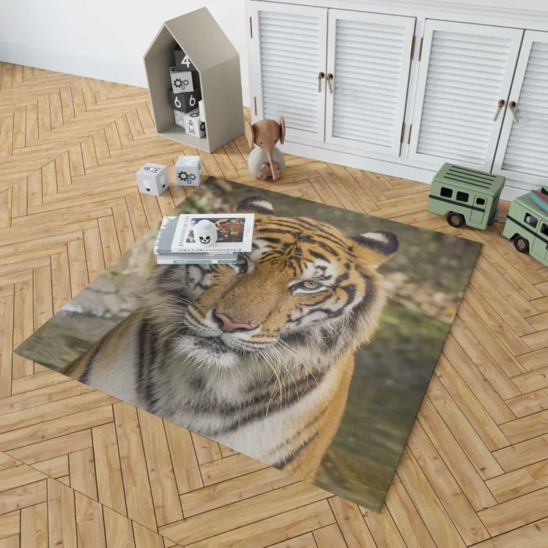 Dangerous Tiger Dominance Rug 1