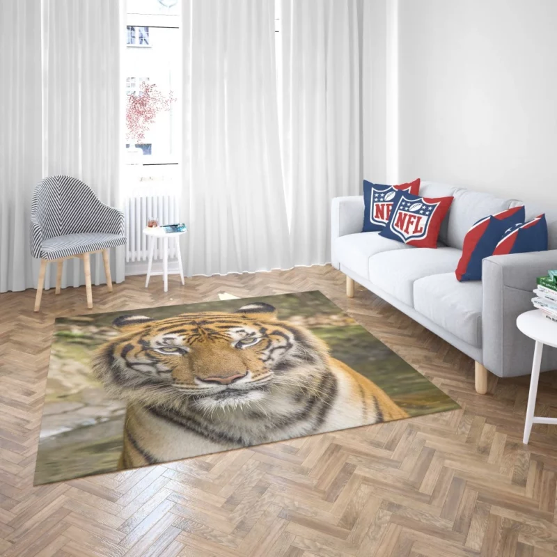 Dangerous Tiger Dominance Rug 2